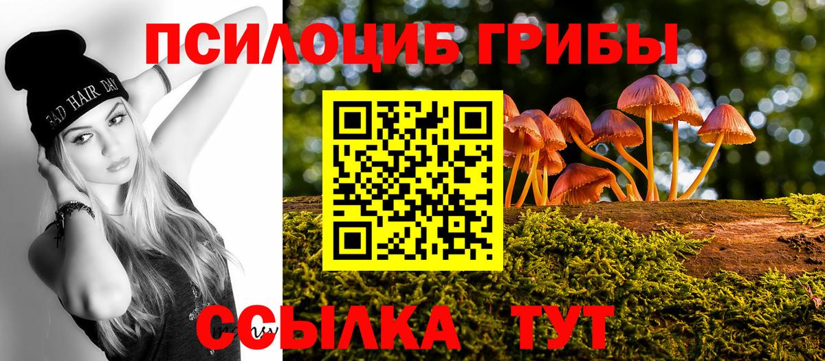 Галлюциногенные грибы Cubensis Нижний Новгород